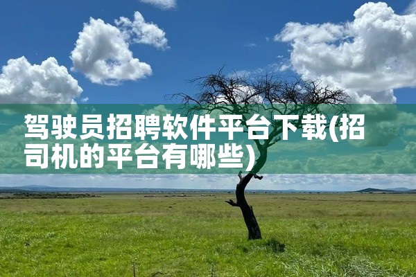 驾驶员招聘软件平台下载