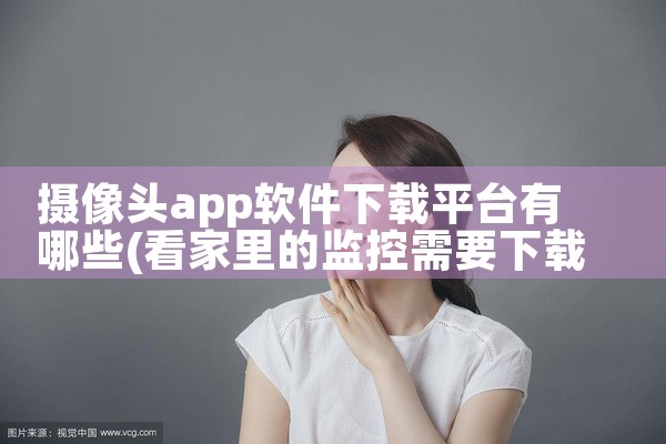 摄像头app软件下载平台有哪些