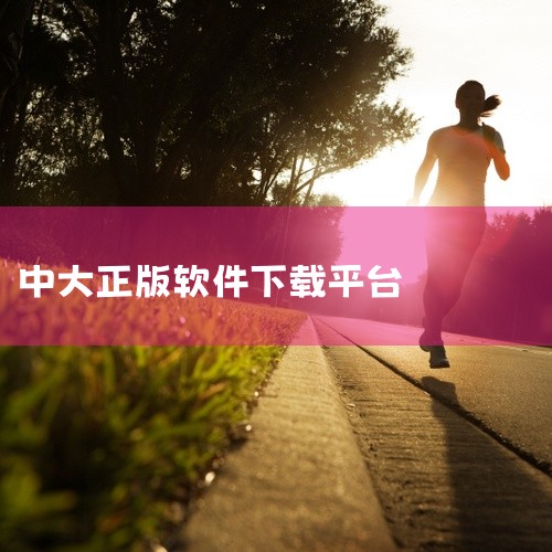 说明你的序列号和加密狗对比不正确，因为你输入了正版的序列号而没有使用正版的加密狗。你可以使用免费的测试安装密码，可免费使用三个月。NGPower V6.0 该套软件为新中大财务管理软件(NGPower|