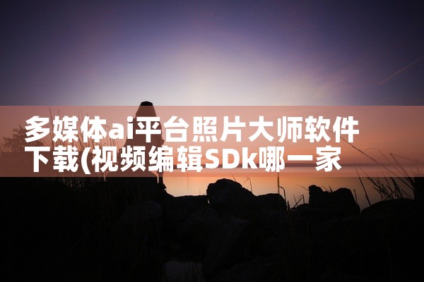多媒体ai平台照片大师软件下载