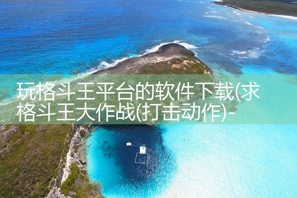 玩格斗王平台的软件下载