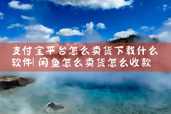 支付宝平台怎么卖货下载什么软件