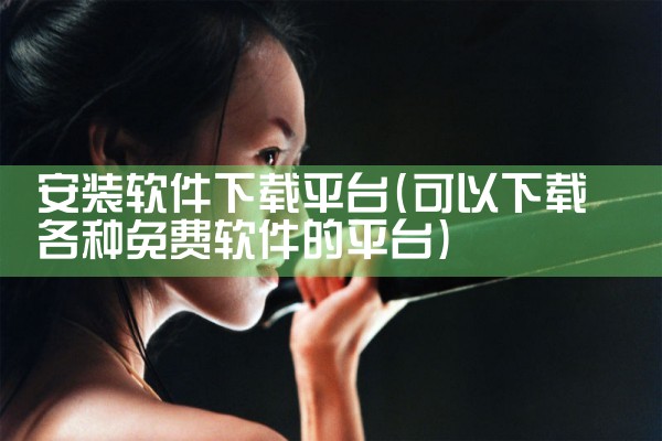 安装软件下载平台