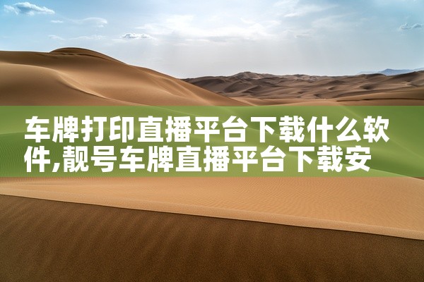 车牌打印直播平台下载什么软件