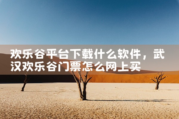 欢乐谷平台下载什么软件